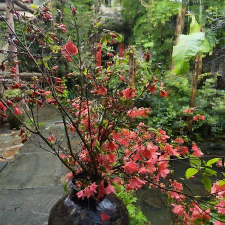 Wuyuan Qiye Yanxiang Guesthouse מראה חיצוני תמונה