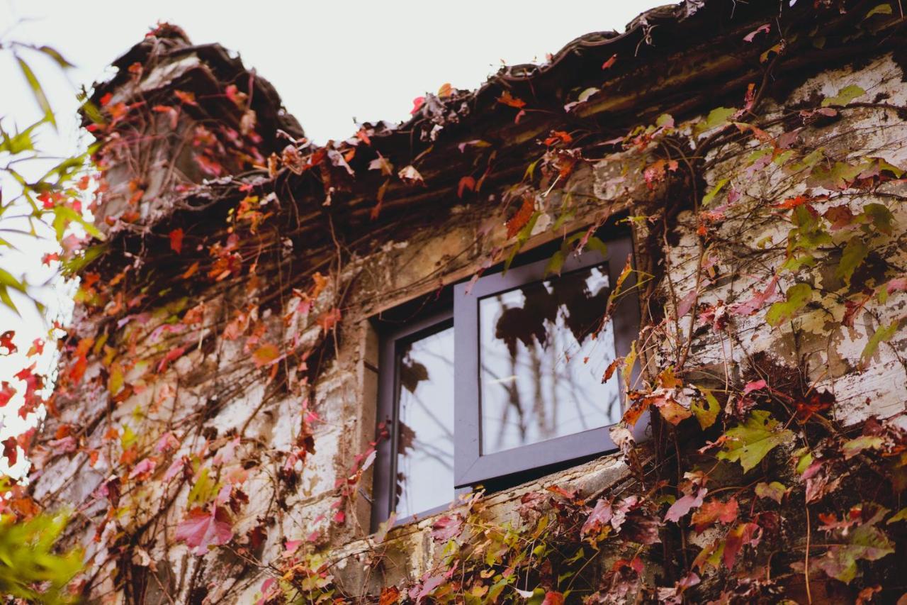 Wuyuan Qiye Yanxiang Guesthouse מראה חיצוני תמונה